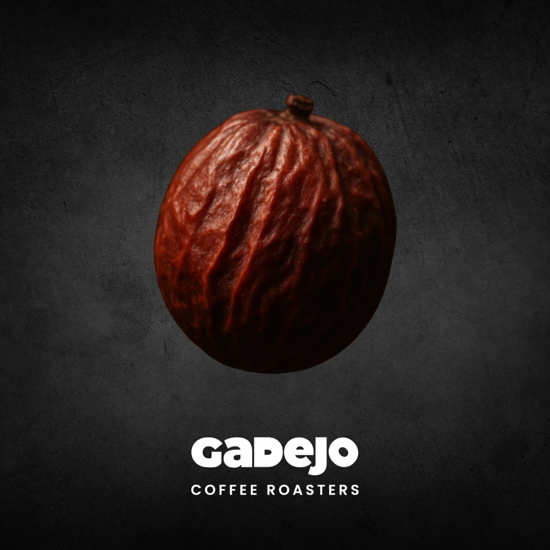 Proceso Natural – Cafés Naturales Colombia