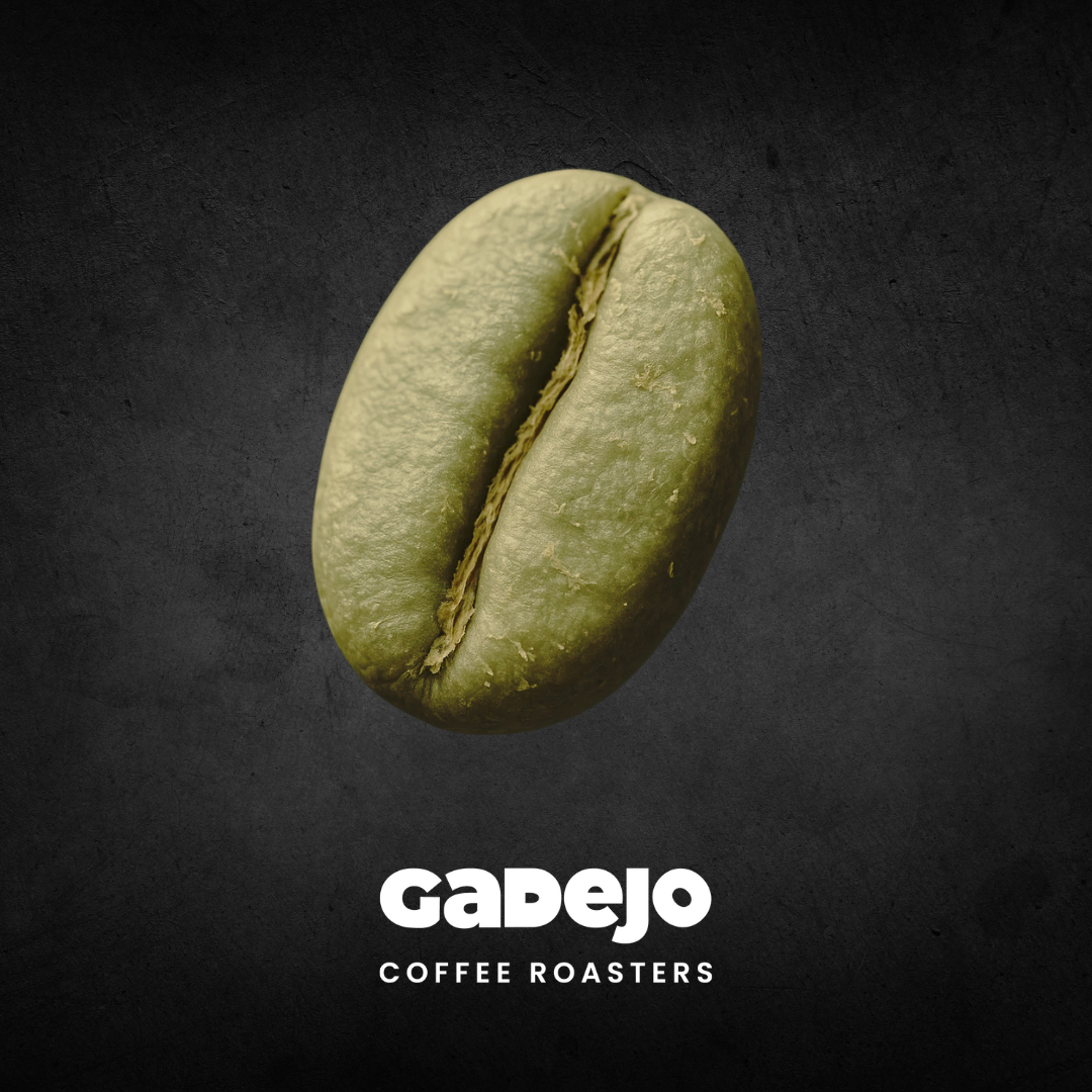 Lavado (Washed Process) – Cafés Lavados Colombia