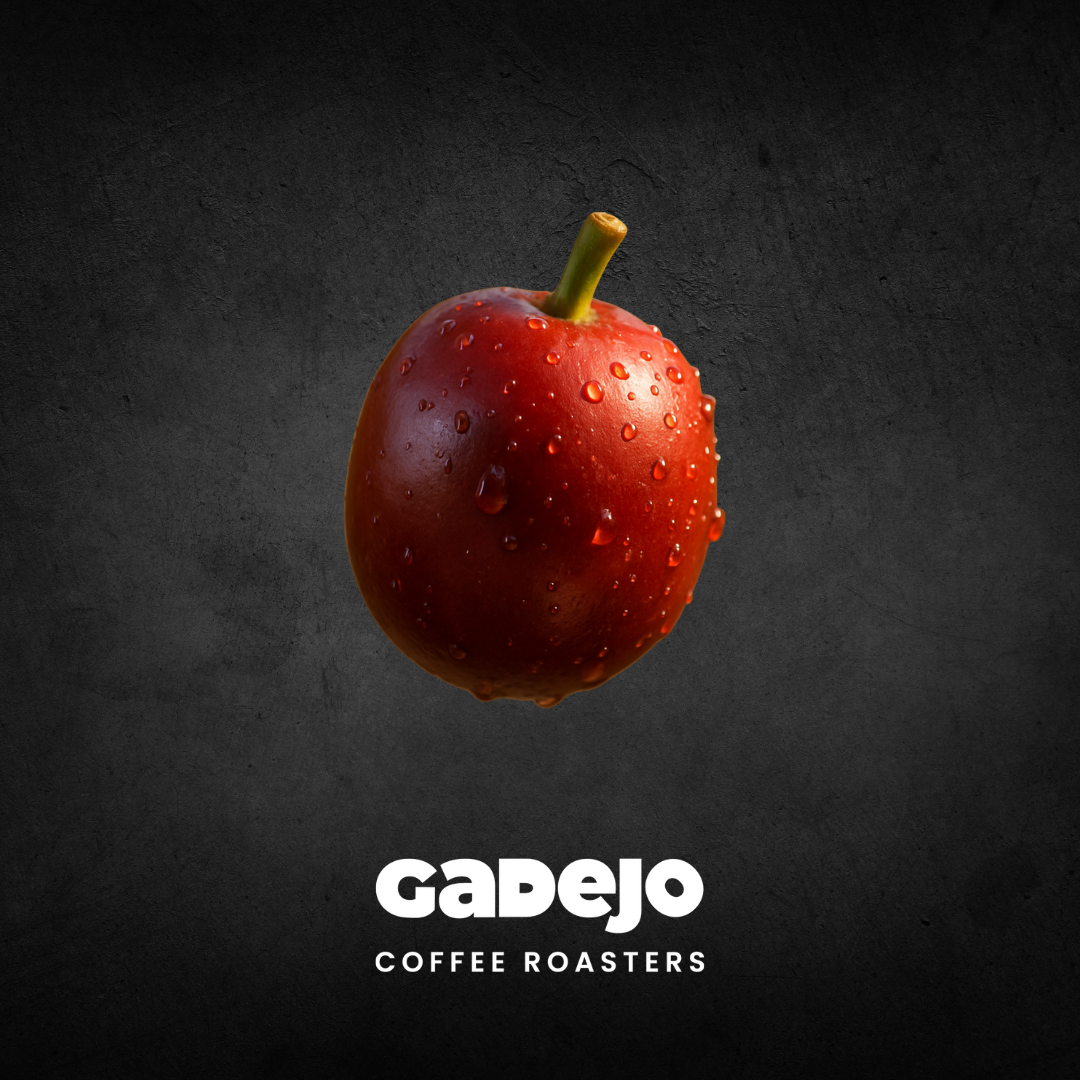 Cafés Especiales de Colombia | GADEJO Coffee Roasters