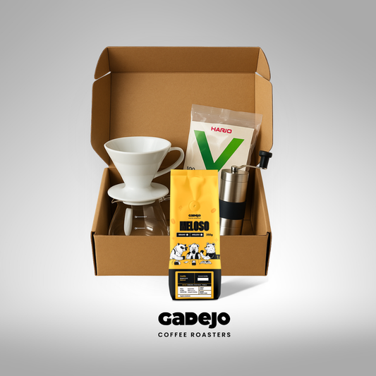 Kit V60 + Filtros + Molino + Server